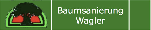 Baumsanierung Wagler